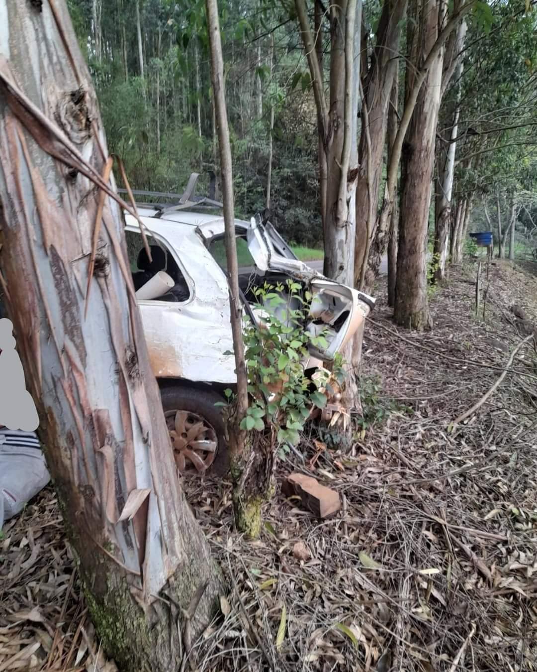 Motorista perde o controle do veículo e bate em eucalipto em União do Oeste SC