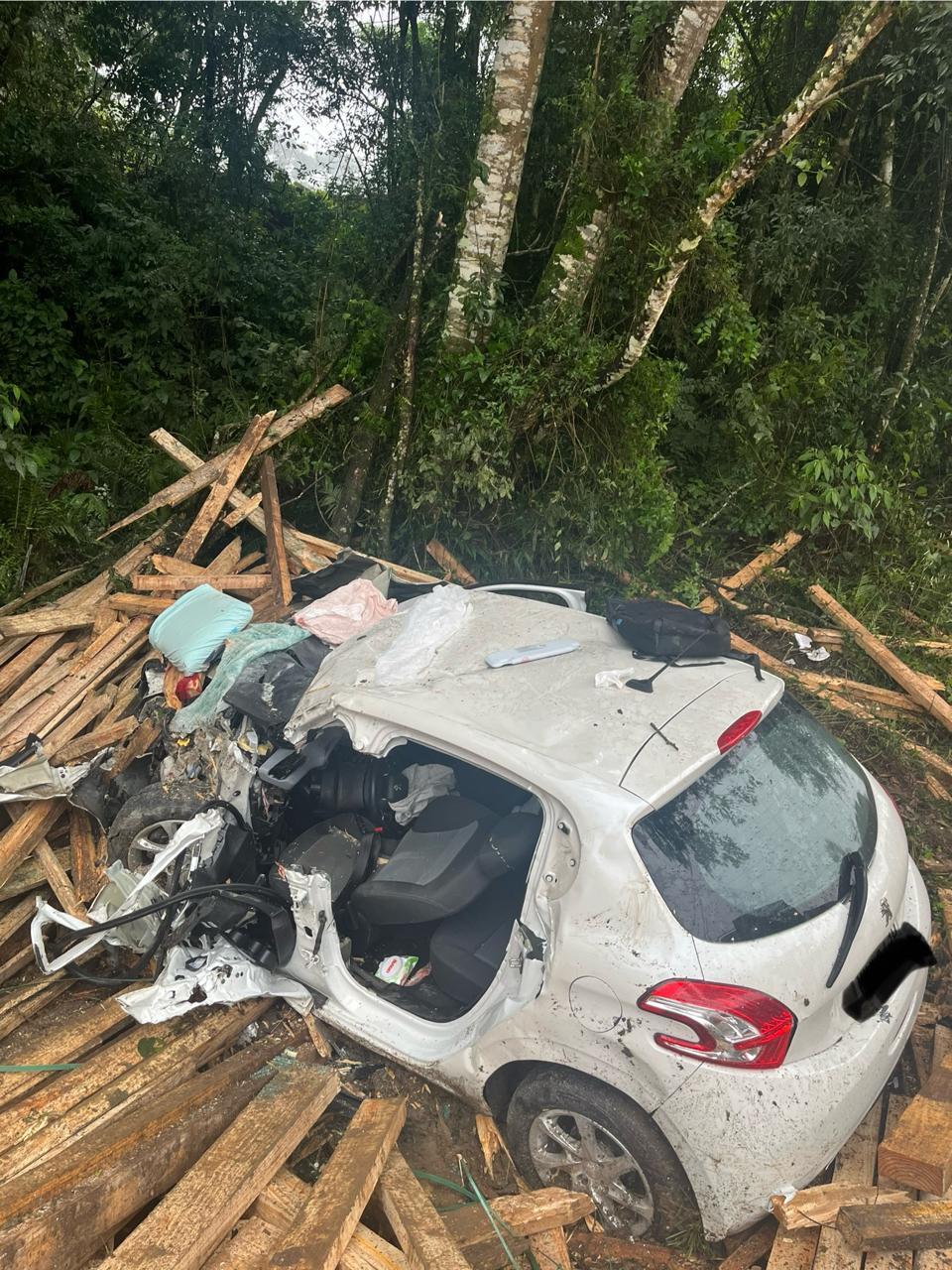 Grave acidente carro e caminhão na BR 282 deixa um homem e um cachorro mortos