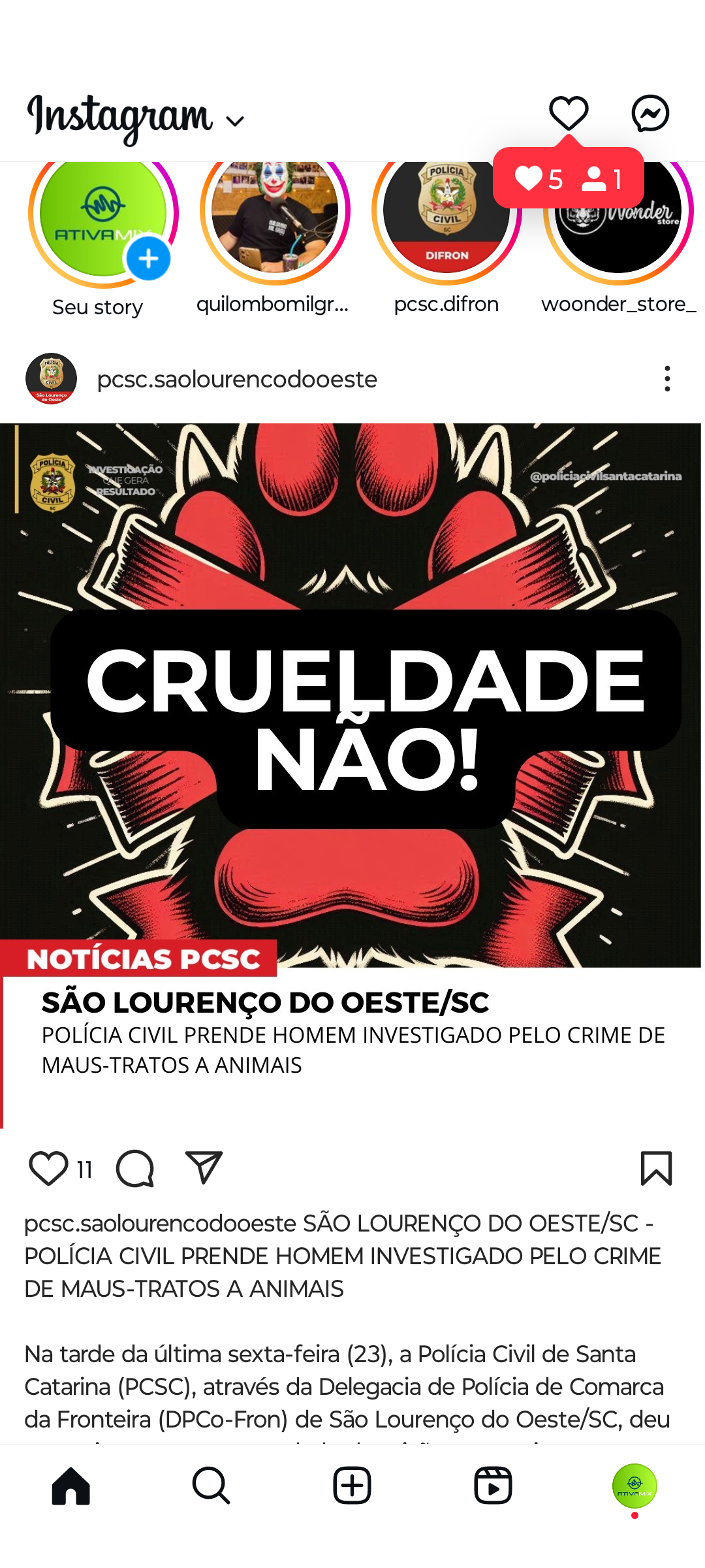 SÃO LOURENÇO DO OESTE/SC - POLÍCIA CIVIL PRENDE HOMEM INVESTIGADO PELO CRIME DE MAUS-TRATOS A ANIMAIS