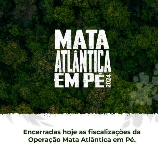 Balanço Final: Operação Mata Atlântica em Pé identifica mais de 17 mil hectares de desmatamento ilegal