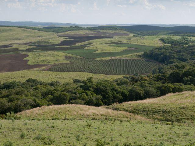 Campos naturais do corredor ecológico do Rio Chapecó corre o risco de desaparecer