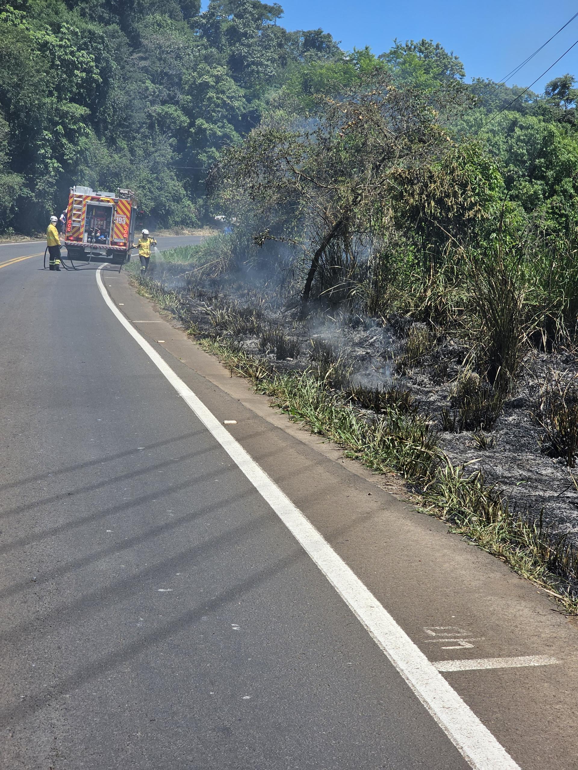 Incêndio em vegetação na SC-157 em Quilombo