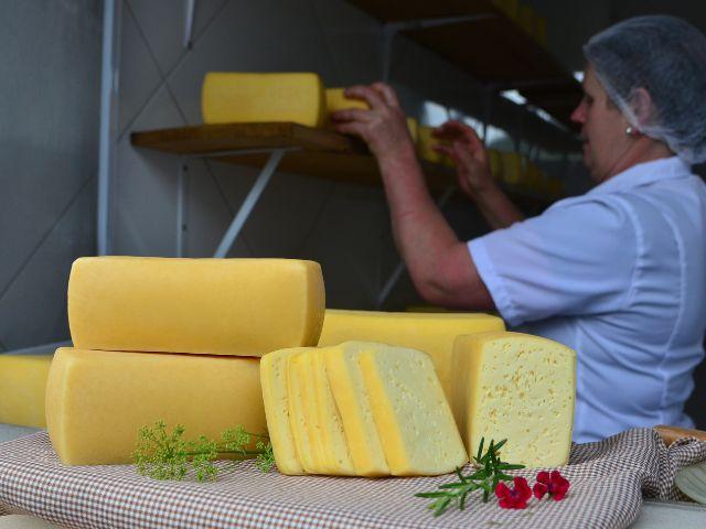 Simpósio Catarinense de Queijos Artesanais aceita trabalhos científicos até dia 17