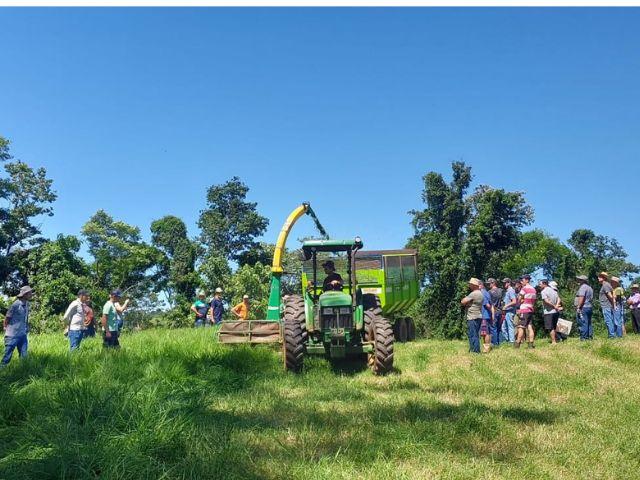 Dia de Campo sobre silagem de gramíneas perenes reúne 100 pessoas