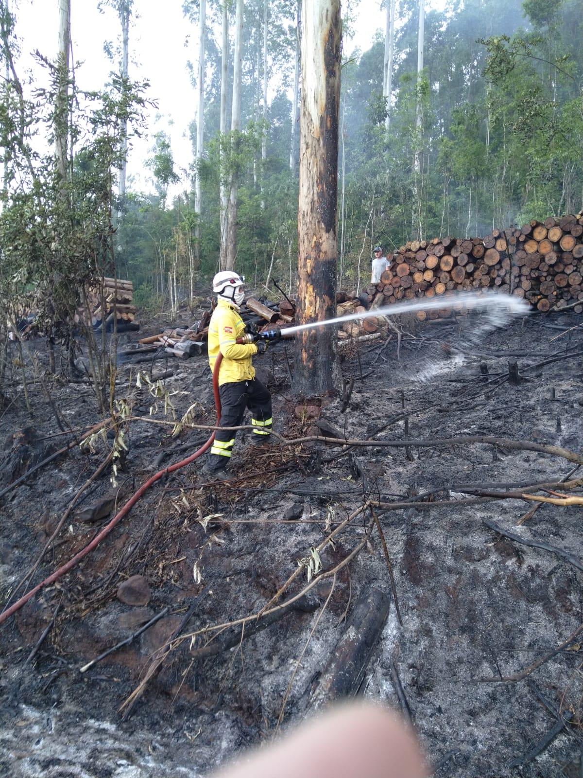 Incêndio em vegetação no interior de Formosa do Sul