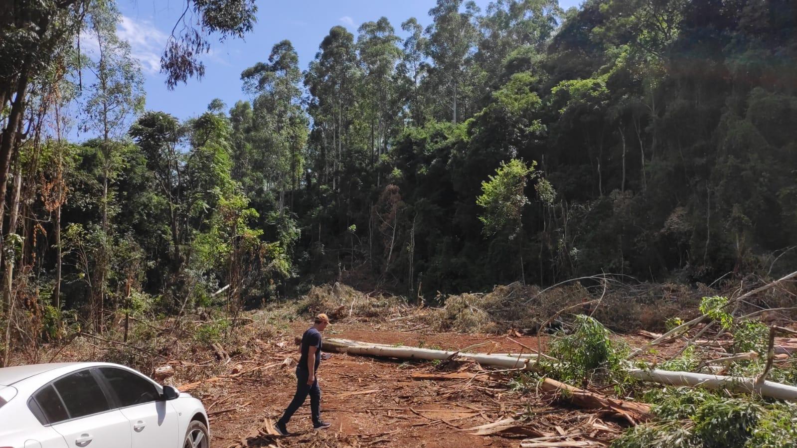 Homem perde a vida em acidente de trabalho no interior de Coronel Freitas